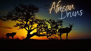 African Drums - Relaxing Tongue Drum Music from Best Relaxing Music (instrumental background) screenshot 1