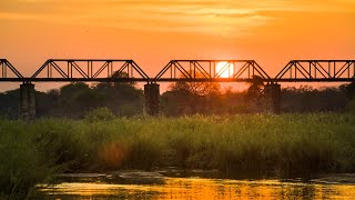 African bush sounds | Sabie River #2, Kruger National Park, South Africa- Night safari sounds  121