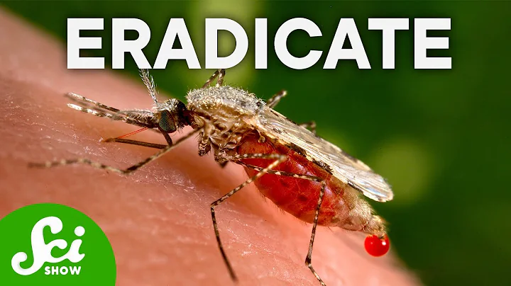 What Would Happen if Mosquitoes Went Extinct? - DayDayNews