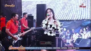 SATU RASA CINTA - Lilin Karlina / CAMELIA PELAN TAPI PASTI TERBARU / MAYONG KIDUL / ADI BLODOR AUDIO