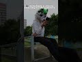 неть #grinya #kurgan #Гриня #курган #фурри #furry #shorts