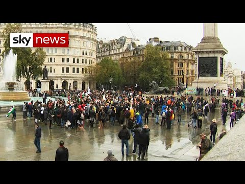 Coronavirus: Hundreds attend anti-lockdown protest in London