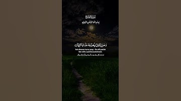 لَّيْسَ عَلَى الْأَعْمَىٰ حَرَجٌ وَلَا عَلَى الْأَعْرَجِ حَرَجٌ》#الراحة_النفسية😌🤍#سورة_الفتح #ياسر