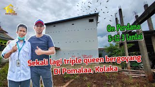 Download Lagu SP tripel queen - bergoyang di Pomalaa - on perdana simak tata ruang yang benar 5x12 MP3