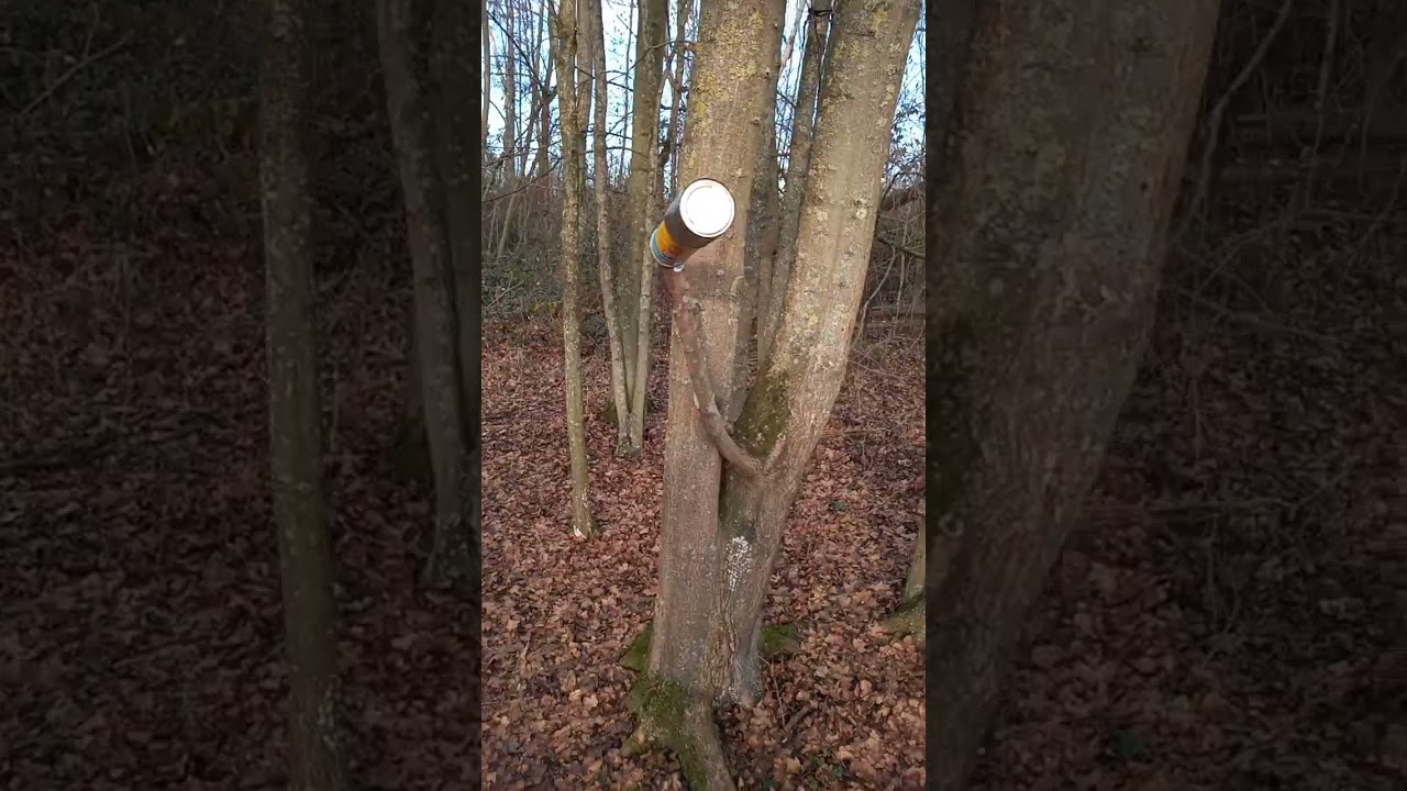 Пиво Winter Warsteiner.