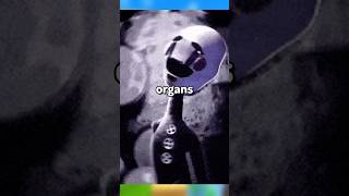 Can You Beat The Marionette?