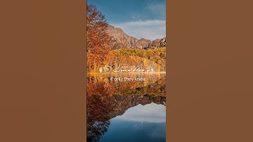 سورة العنكبوت بقرائة الشيخ ياسر الدوسري #خشوع #سورةالعنكبوت #قران #ياسرالدوسري #العنكبوت #سورة