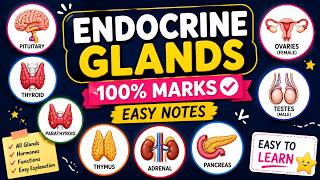 Endocrine Glands in Human Body | Easy Handwritten Notes | Complete Endocrine System | #video#bpharma