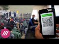 Протесты против QR-кодов. Кризис на границе: последние новости. Итоги эко-саммита в Глазго