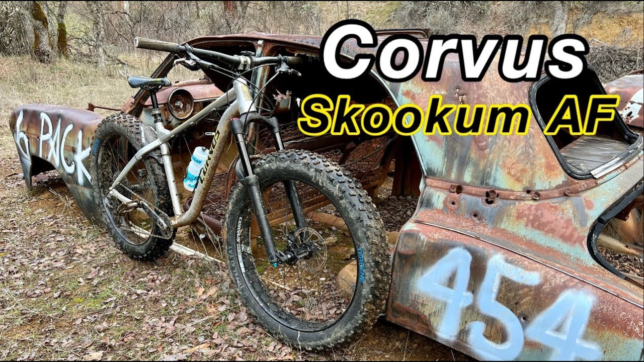 First Impressions Corvus Skookum AF - YouTube