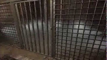 Penumbra Overture part 5 I Love Barrels and Rocks