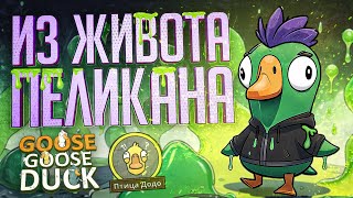 Я СБЕЖАЛ ИЗ ЖИВОТА ПЕЛИКАНА, И ЭТО ИЗМЕНИЛО ИГРУ - Goose Goose Duck // ВЕСЁЛАЯ НАРЕЗКА