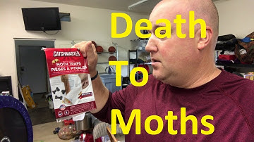 Amazing Catchmaster Moth Traps
