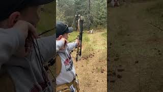 The bunny of steel! Do you trust your pin float? #archerylife #bowhunt #hunting #nature #archery