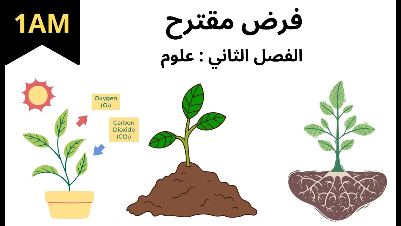 فرض مقترح لبراعم الأولى متوسط ❤️🔥الفصل الثاني علوم