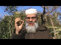 امي ام زوجتي سلسلة الزواج الاسلامي السعيد للأستاذ أبي مصعب امي ام زوجتي سلسلة الزواج الاسلامي السعيد للأستاذ أبي مصعب