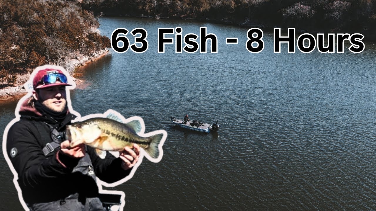 The ONLY Baits You Should Throw In The WINTER