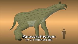 Paraceratherium Sounds