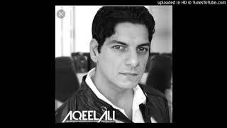 Aa Dekhe Zara Dj Aqeel