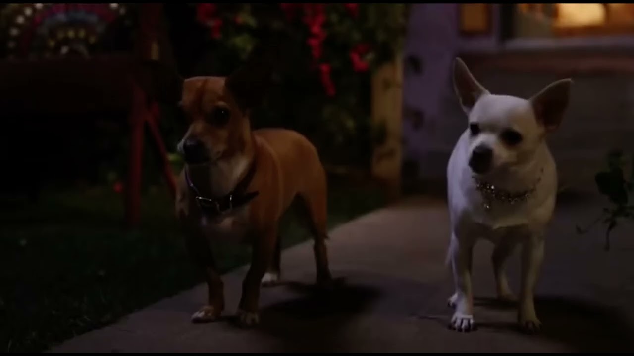 Papi Jr, you go back to bed this instant ￼