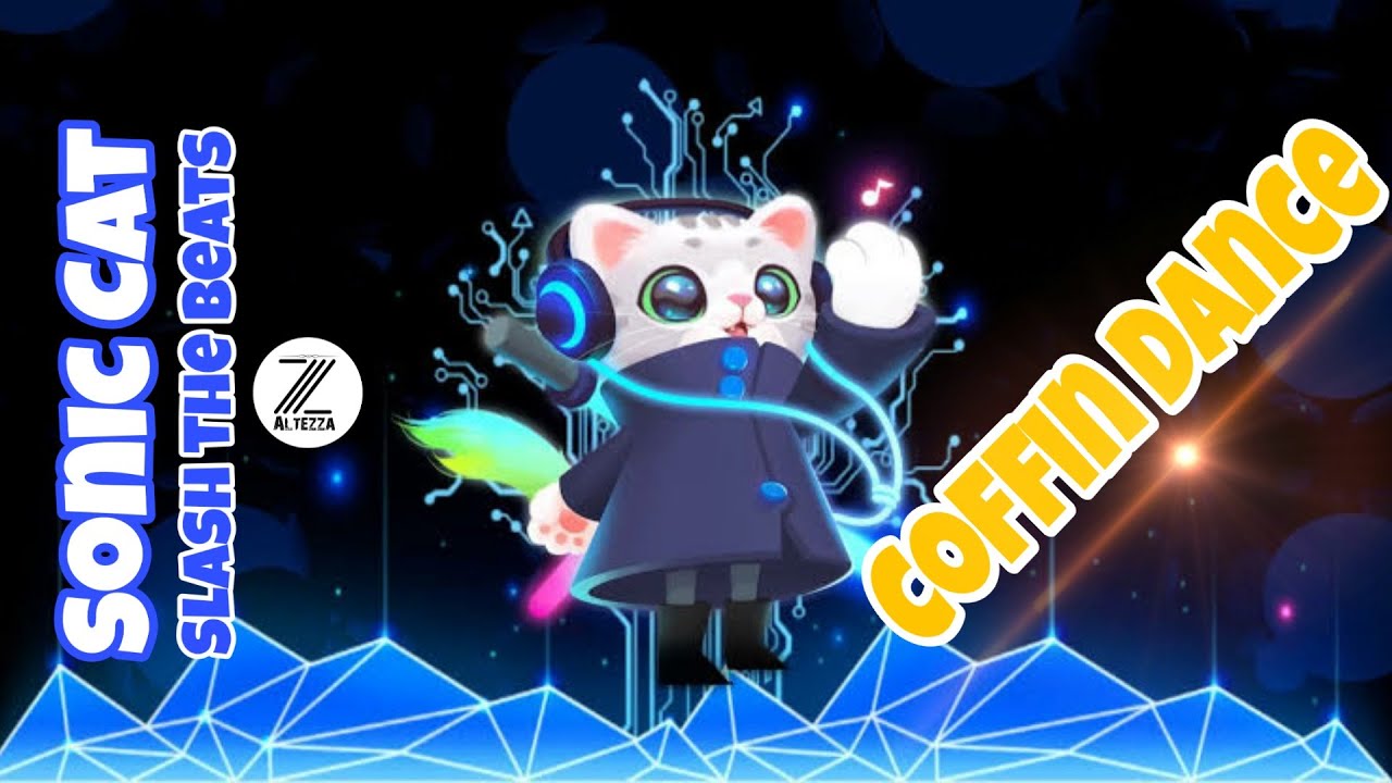 Sonic Cat Slash the Beats Coffin Dance (Hard Mode) YouTube