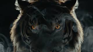 🎬 8 Second Free Video Intro Tiger Eyes Shadow Intro #2 – No Copyright – Ready to Use