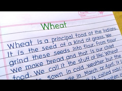 Few lines on wheat ||Ten lines on Wheat ||Few lines on wheat for kids || Essay on wheat ||