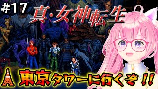 朝美しるこの配信のサムネイル画像