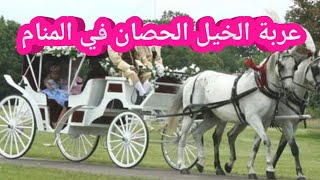 تفسير رؤية عربة الحصان/ الخيل في المنام للحامل والمتزوجة والعزباء والمطلقة والأرملة والرجل والشاب