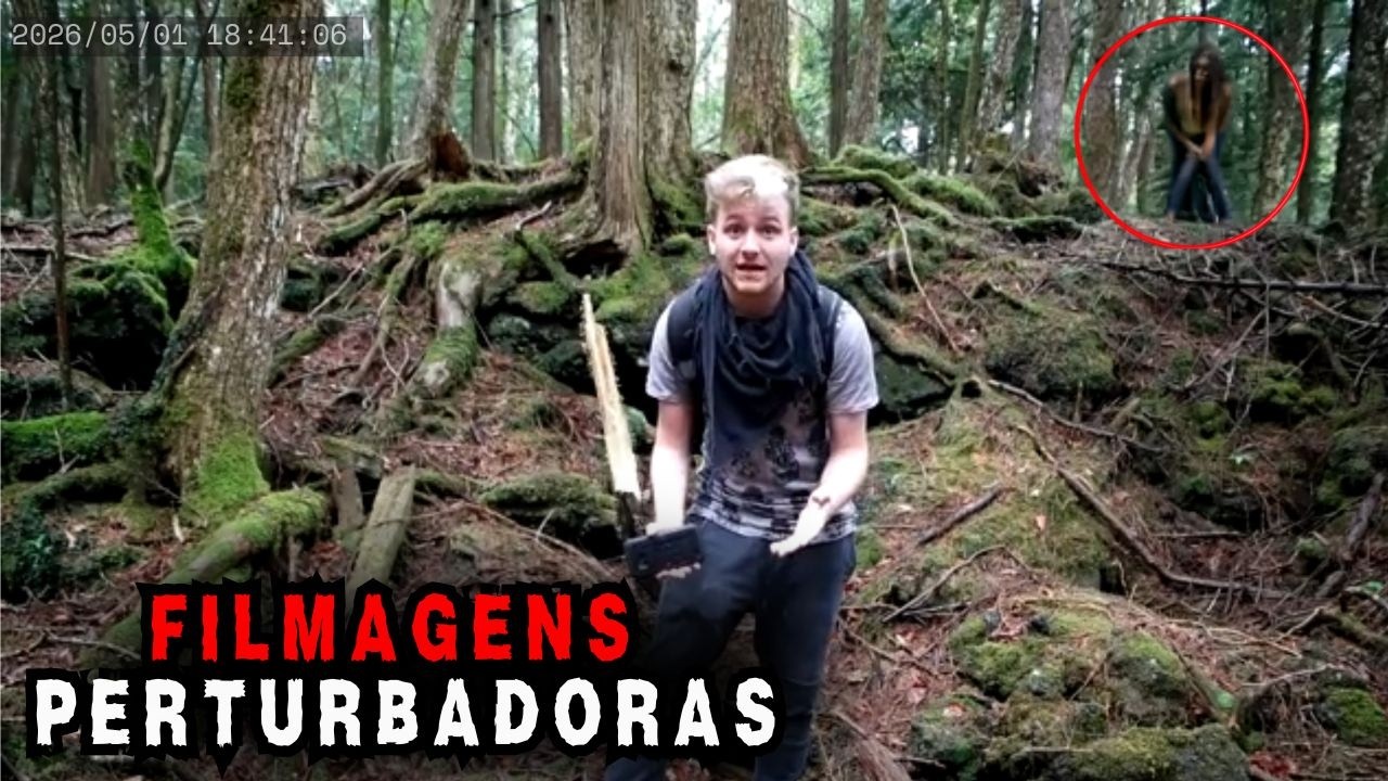 14 Encontros em Florestas que São REALMENTE Assustadores e Você Não Vai Acreditar