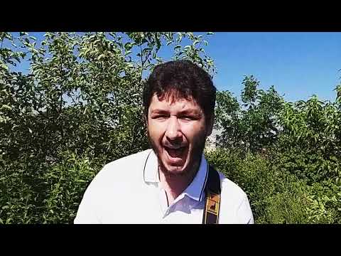 Dantes - Теперь тебе 30 (rock cover by Mike Miles)