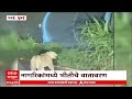 Leopard In Powai Mumbai : मुंबईतील पवई नीटी परिसरात बिबट्याचा वावर | ABP Majha