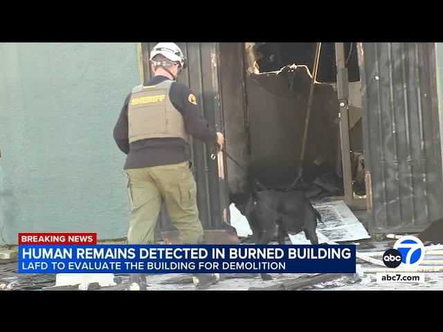 K-9s detect human remains in vacant building destroyed in massive fire