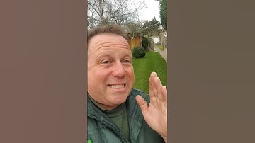 How To Stop Cats Pooping On Your Lawn #lawntips