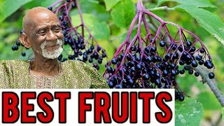 Dr Sebi Reveals The Best Fruits And Berries To Eat