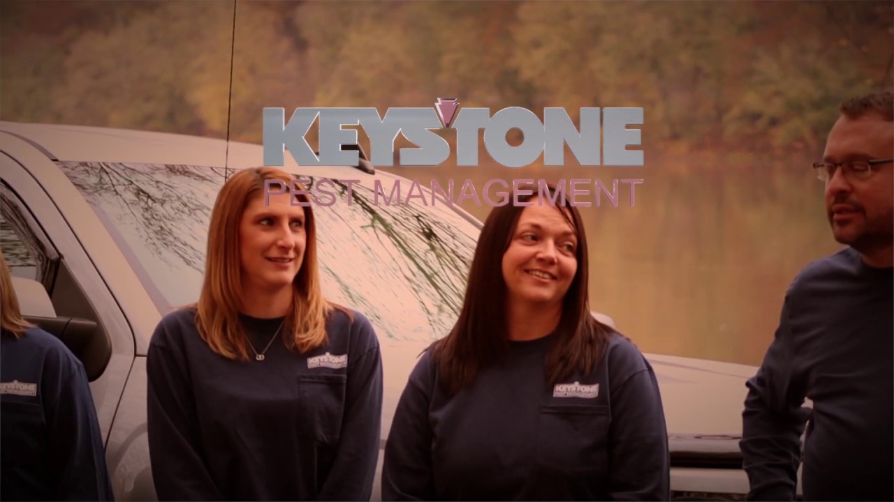 Keystone Pest Management Team Photo YouTube