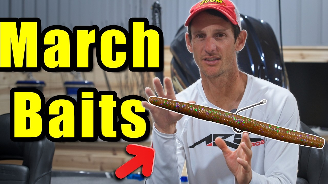 The Only 3 Baits You Need in March!