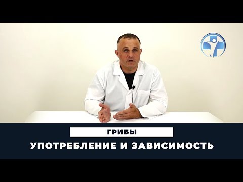 Видео: Поглощают ли грибы токсины?