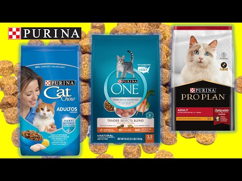 Video: Elija entre las mejores marcas de comida para gatos