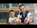 عرض الدلع من ابو ذياد مجموعه حمام شوريسر ودلبر ابن استيراد وشقلباظ وكركندى للتواصل 01201789034 