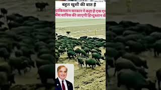 Stan Ke Pradhanmantri Shahbaz Sharif Ka Elaan