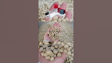 Floating Fish Feed Extruder Machine LM-80 200-300KG/H