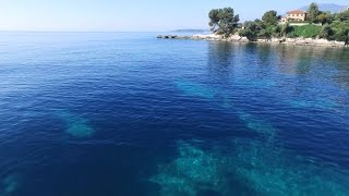 Элитная вилла у моря с собственным пляжем в Италии Элитная вилла у моря с собственным пляжем в Италии
