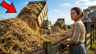 The Factory Dumped Cane Waste Behind the Widow's Farm for 8 Year — Farmers Started Paying for It The Factory Dumped Cane Waste Behind the Widow's Farm for 8 Year — Farmers Started Paying for It