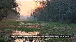Nature Conservation And Community Development In Nawalpur District Of Nepal