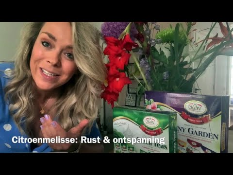 Video: Eetbare Goudsbloemblomme: Leer hoe om Goudsblomme te kweek om te eet