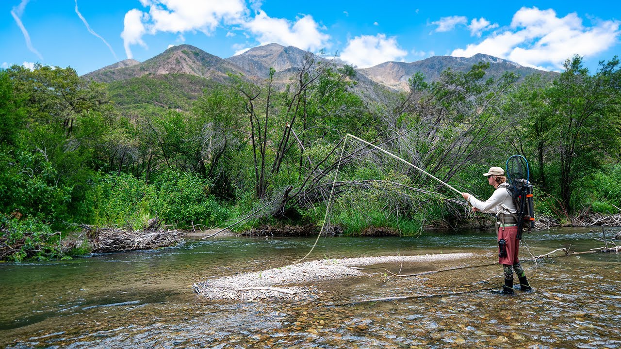 I Fished Bull Trout Paradise (No One's Here)
