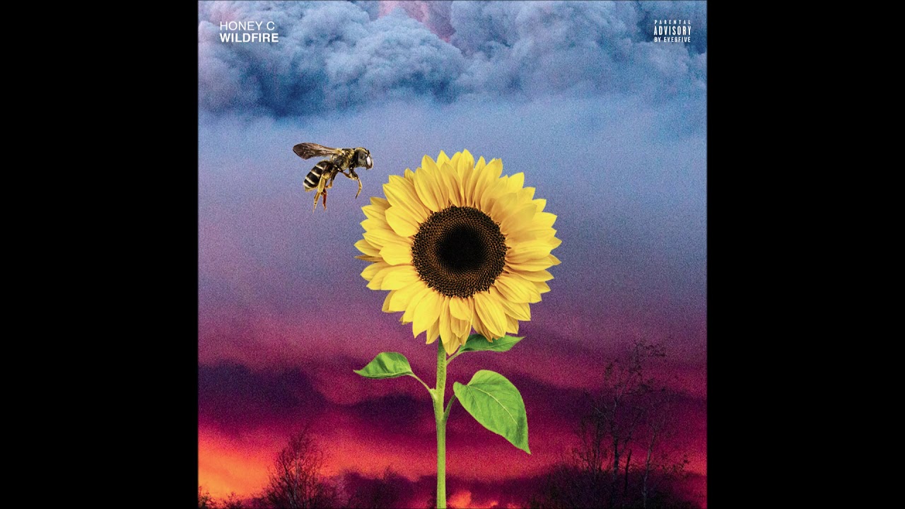 Honey C Woke Up Feelin OFFICIAL VERSION YouTube