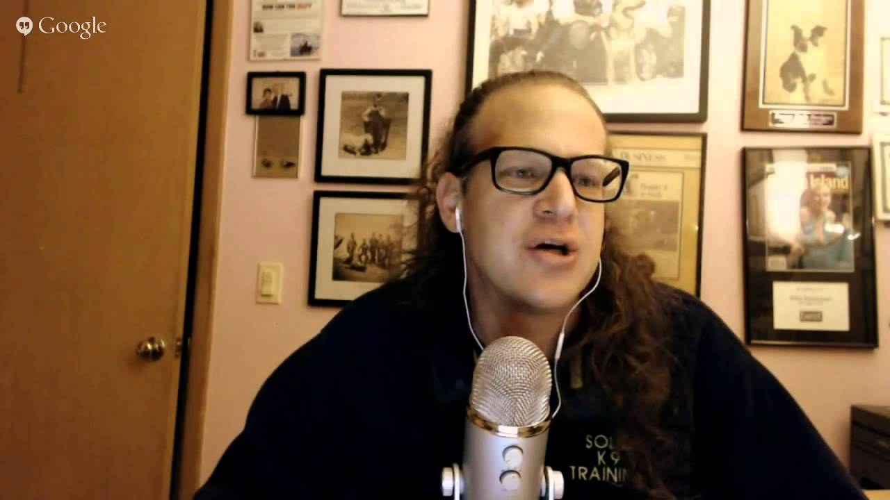 dog trainer in delhi What Would Jeff Do live dog training webinar 6 15 2015