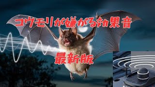 コウモリ撃退効果音｜超音波＆外敵の鳴き声で簡単にコウモリを撃退